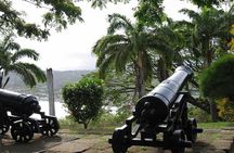 Highlights of Tobago Tour