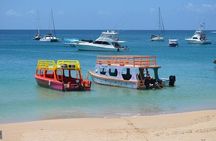 Tobago Buccoo Reef Glass Bottom Boat Cruise and Island Sightseeing Tour