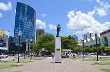 Trinidad Northern Eco-Cultural Full-Day Highlights Tour from Port of Spain