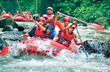 Bali Jungle Swing and White Water Rafting All Inclusive