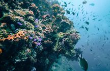 Dive at Tulamben Bali USS Liberty Ship Wreck 