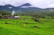 Beauty Of West Bali Tour (Private and All Inclusive)