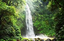 Taman Ayun Temple ,Monkey Forest , Mumbul Lake and Waterfall