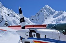 45-Minute Glacier Highlights Ski Plane Tour from Mount Cook