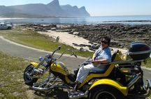 Cape Point and Peninsula Trike Tour from Cape Town
