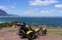 Hermanus and Whale Route Trike Tour from Cape Town