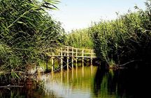 Shaumari Reserve and Azraq Wetland Private Full Day Tour from Amman