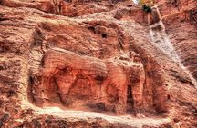 Private Back Trail Tour of Petra starting from the Monastery 