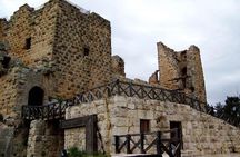Private Full Day Tour to Umm Qais and Ajloun from Amman