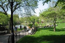 Central Park and Upper East Side Walking Tour