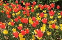 Central Park and Upper East Side Walking Tour