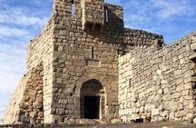Day Tour Desert Castles & Azraq Wetland Reserve