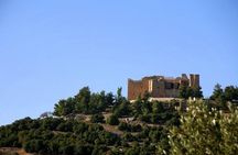 One Day Trip to Jerash & Ajloun Castle