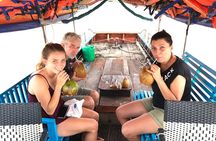Private Mekong Delta (My Tho - Ben Tre) Full Day by Air-conditioned Car