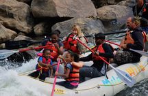Durango Half Day Rafting Trip - Lower Animas River