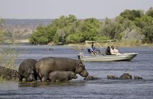 Chobe Extended Day Trip from Victoria Falls - Zimbabwe