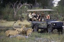 Chobe Extended Day Trip from Victoria Falls - Zimbabwe