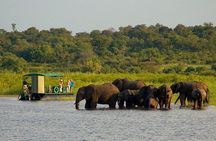 Chobe National Park 4X4 Day Safari and River Cruise