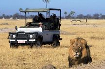 2-Day Camping Safari in Chobe National Park from Victoria Falls