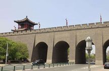 Terra-cotta Warriors, Big Wild Goose Pagoda, Ancient City Wall Private Tour