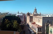 Alcázar tour and roof tour