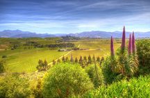 Full-Day Wine Gourmet and Scenic Delight Tour of Marlborough from Blenheim