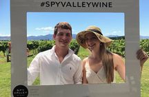 Private Wine Gourmet and Scenic Delights Tour from Blenheim