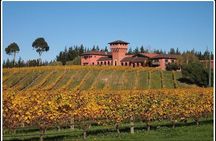 Private Tour: Winter Wine and Scenic Delights Tour from Picton