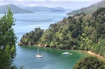 Private Tour: Winter Wine and Scenic Delights Tour from Picton