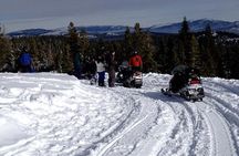 Snowmobiling Packages in the Sierra's from Reno, Nevada