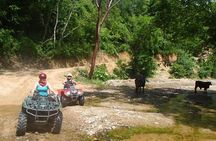 Private Tour: ATV SIERRA MADRE rivers with Tequila Tasting 