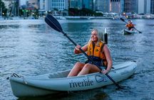 Brisbane Kayak Tour