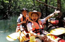 5 Hours Sharing Basis Kilim Mangrove Kayaking Tour 