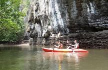 5 Hours Sharing Basis Kilim Mangrove Kayaking Tour 
