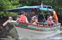 5 Hours Sharing Basis Kilim Mangrove Safari Boat Tour in Langkawi