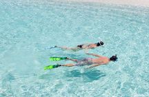 Catalina Island Scuba Diving and Snorkeling Tour from Punta Cana