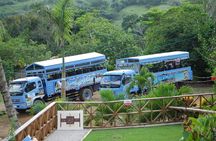 Half-Day Safari Tour from Punta Cana