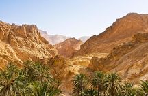 Indian Canyons Hiking Tour by Jeep from Palm Springs