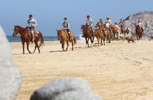 Horseback Riding Tour in Cabo San Lucas