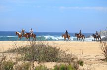 Los Cabos ATV and Pacific Horseback Riding Combo Tour