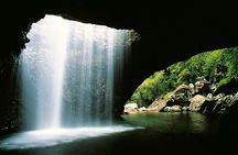 Natural Bridge & Springbrook Waterfalls Tour