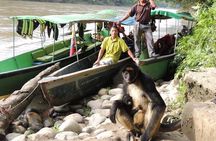 4-Days Private Huaorani Amazon Adventure