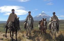 Horseback Riding and Cotopaxi National Park Day Trip