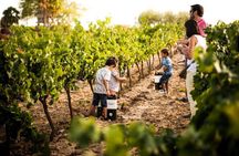 Montserrat & Cava Visit with Lunch Private Tour with Pickup