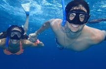 Puerto Morelos Two Reefs Snorkeling Tour