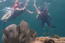 Puerto Morelos Two Reefs Snorkeling Tour