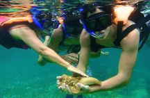Snorkeling Tour in Puerto Morelos