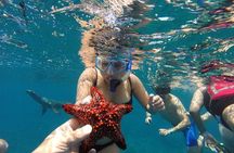 Snorkeling Discovery sailing in Los Cabos