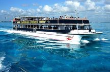 Isla Mujeres Day Tour with Beach Club and Buffet Lunch from Cancun