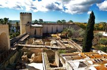 Jerez Walking Tour with Alcazar and Cathedral Entrance
